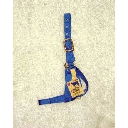 Hamilton Products, Inc. Hamilton Yearling Cow Halter