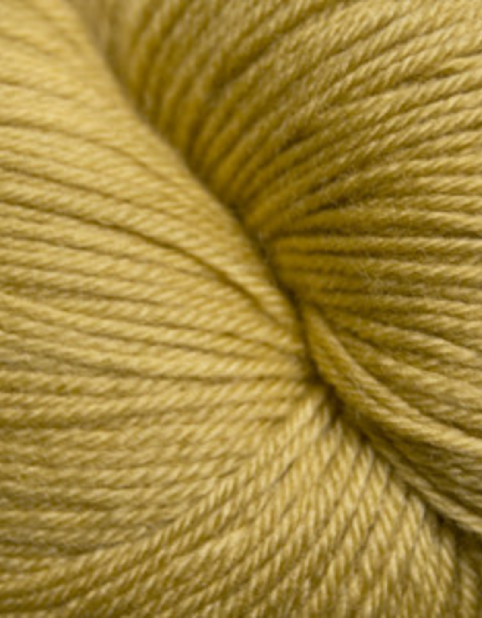 Cascade Heritage Sock Burnished Gold