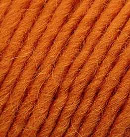 Brown Sheep Lambs Pride Wst 4oz M22 Autumn Harvest Worsted