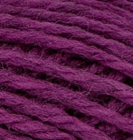 Brown Sheep Nature Spun Worsted - Hurricane Seas (N135)