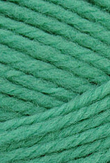Brown Sheep NatureSpun Sp 50g 508 Jadeite