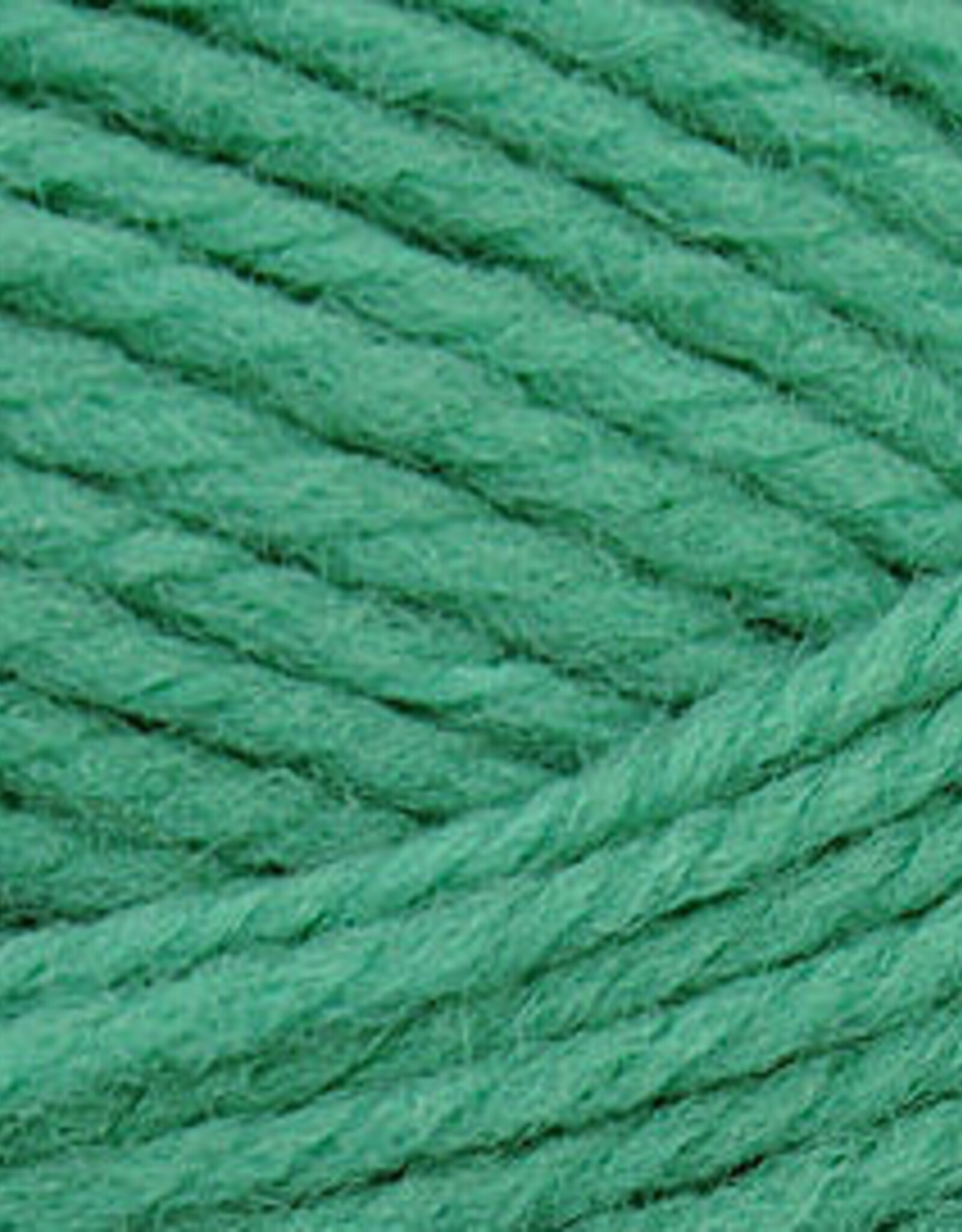 Brown Sheep NatureSpun Sp 50g 508 Jadeite