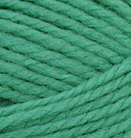 Brown Sheep NatureSpun Sp 50g 508 Jadeite