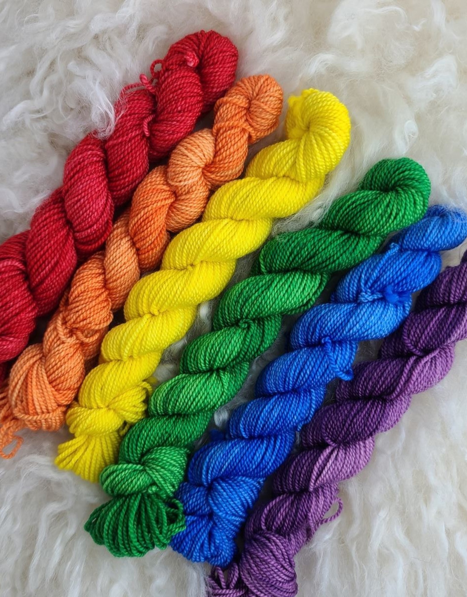 Palouse Yarn Co Lolo Sock Mini Bundle Rainbow