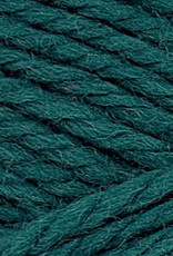 Brown Sheep NatureSpun Sp 50g N21 Mallard