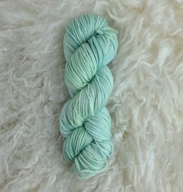 Palouse Yarn Co Clearwater Worsted 100g mint julep