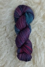 Palouse Yarn Co Clearwater Worsted 100g Nyan Cat