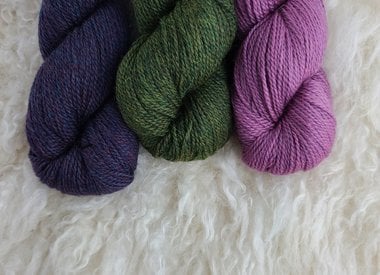 NEW* Adventure Awaits (Grayson's 3rd Bday)- Homestead Worsted – Primrose  Yarn Co.