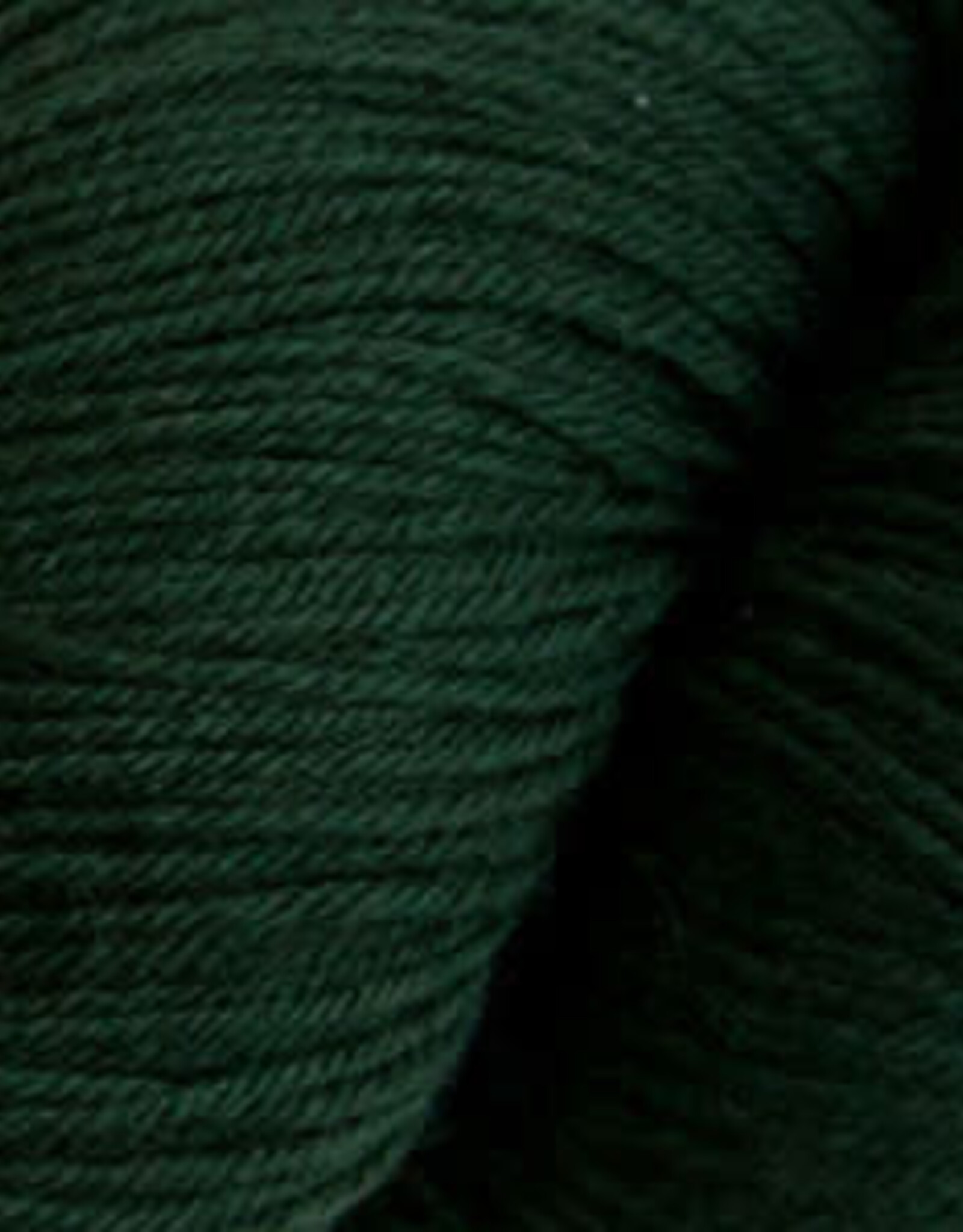 Cascade Heritage Sock 100g 5608 pine