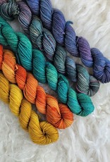 Palouse Yarn Co Lolo Sock Mini Bundle Autumn Rainbow