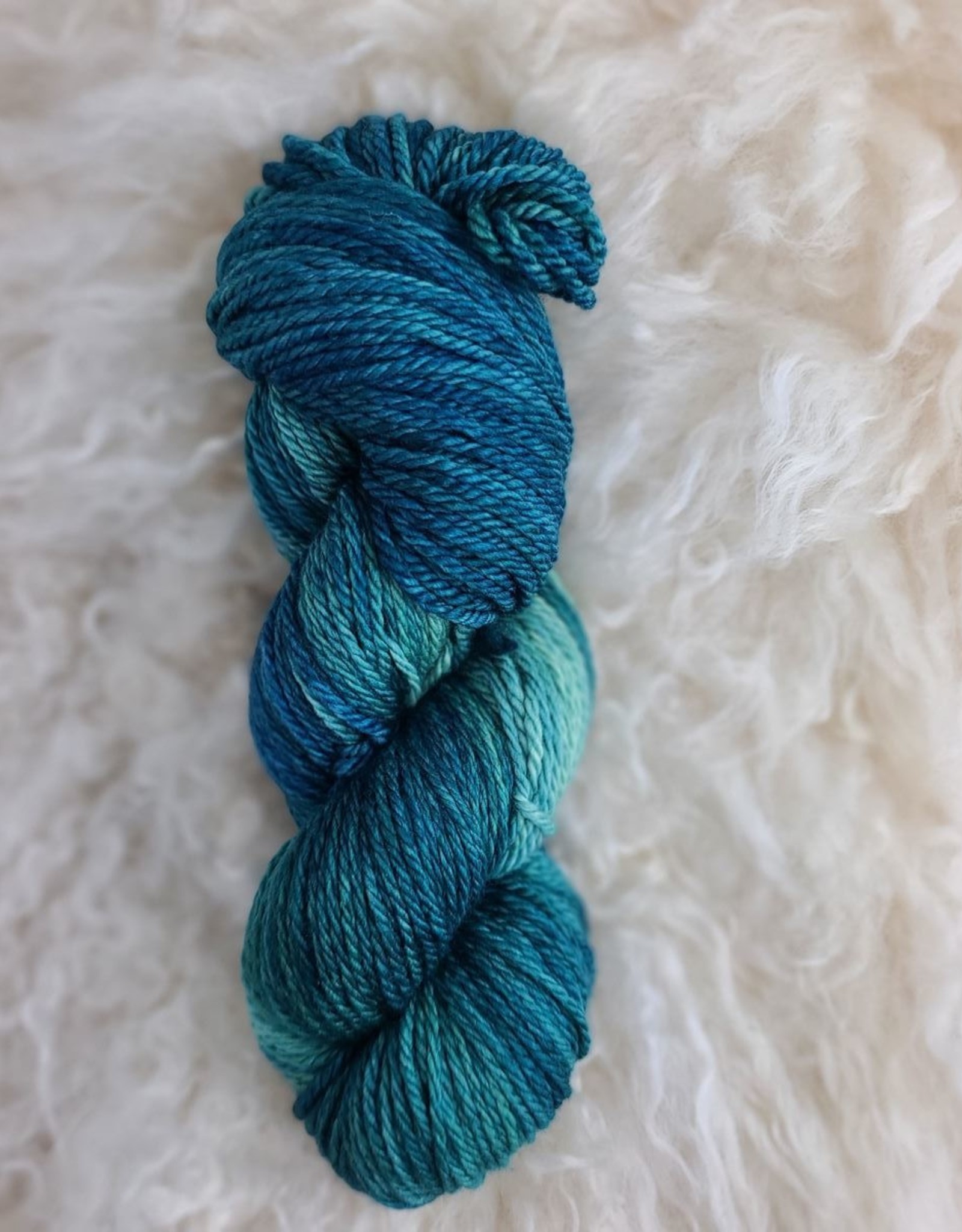 Palouse Yarn Owyhee Aran 100g Alpine Lake