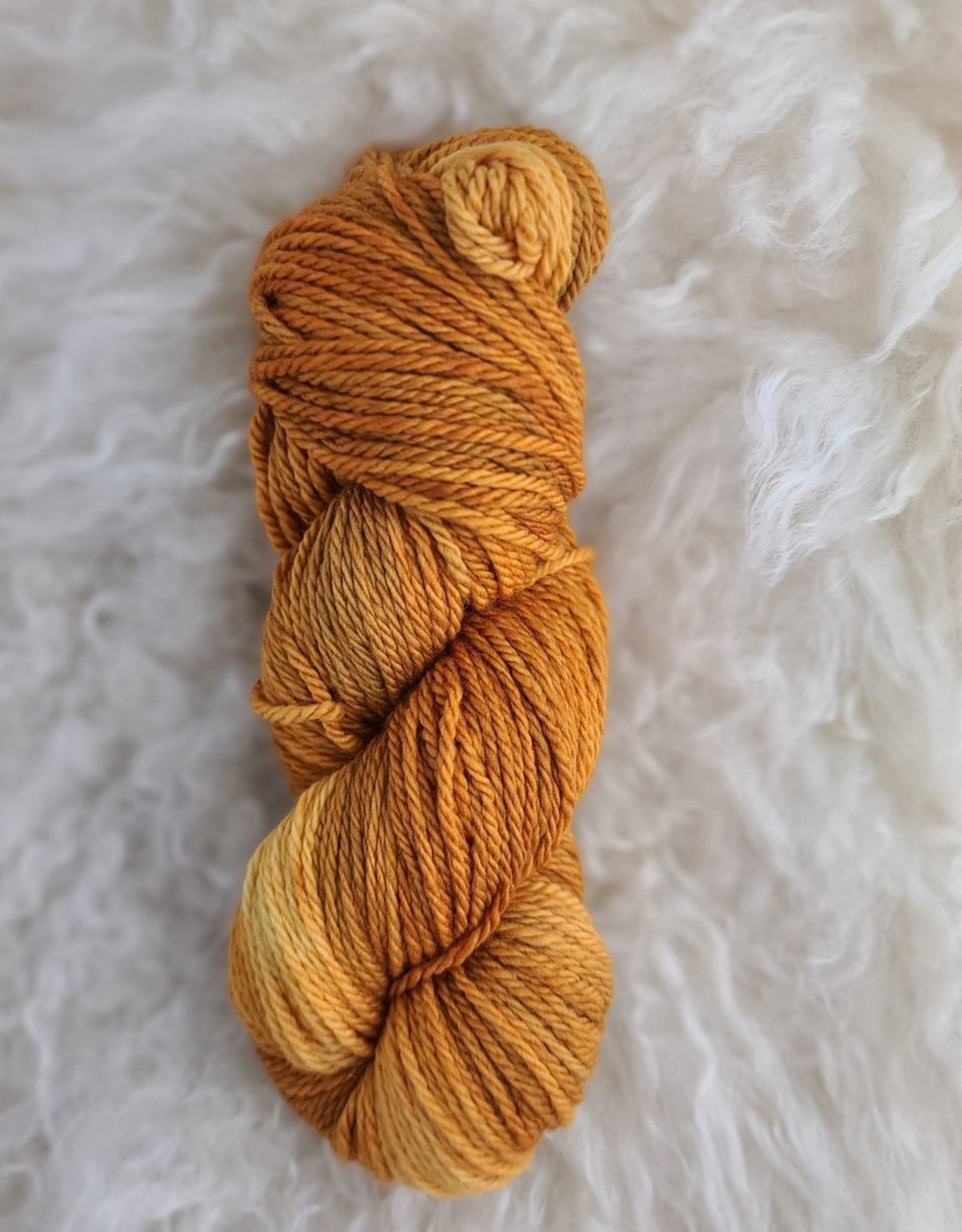 Palouse Yarn Owyhee Aran 100g Apricot Jam