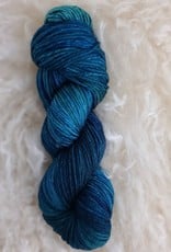 Palouse Yarn Co Magruder DK Sock 100g FDR (The New Teal)