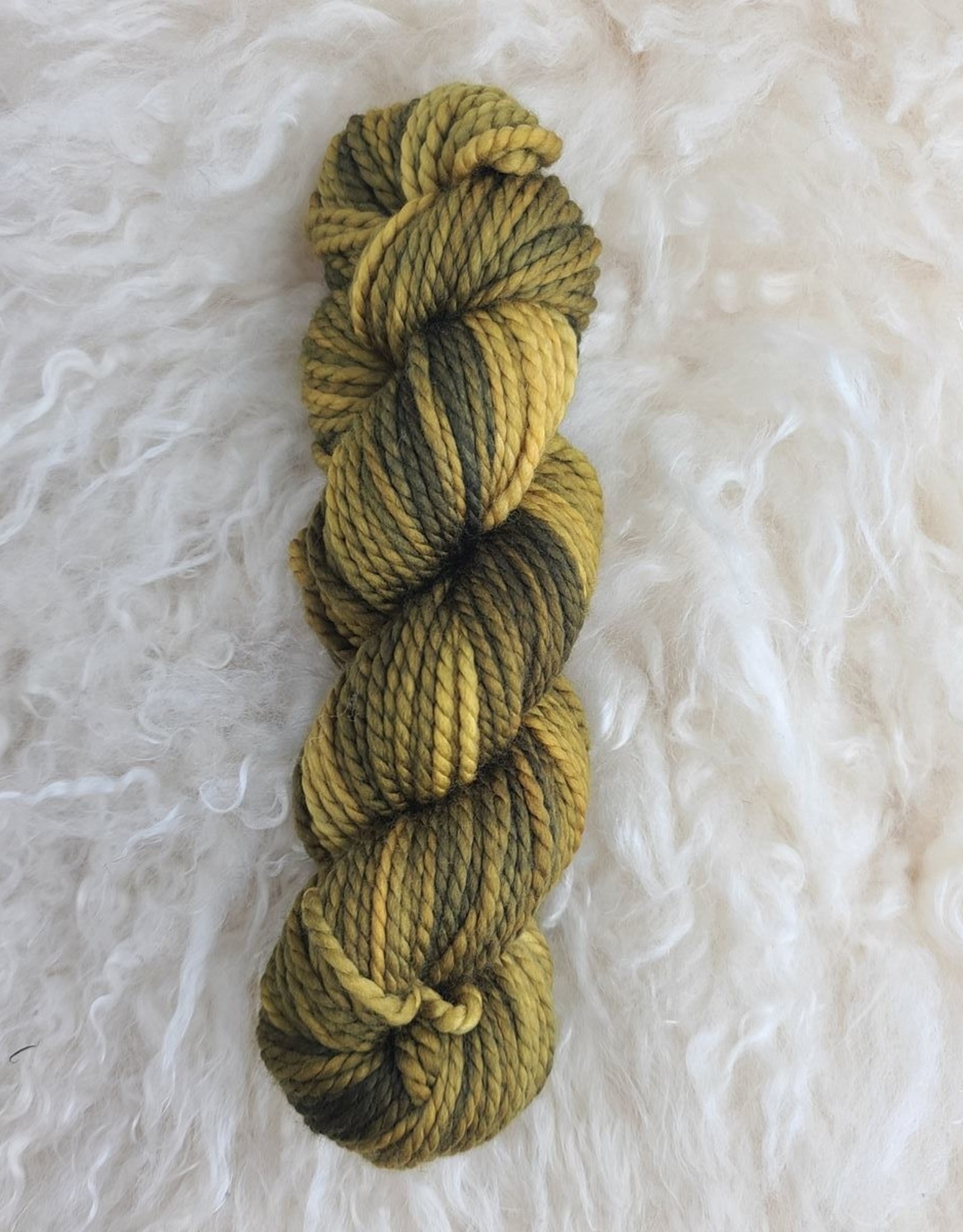 Palouse Yarn Co Columbia Gorge-ous Chunky 100g Mossy