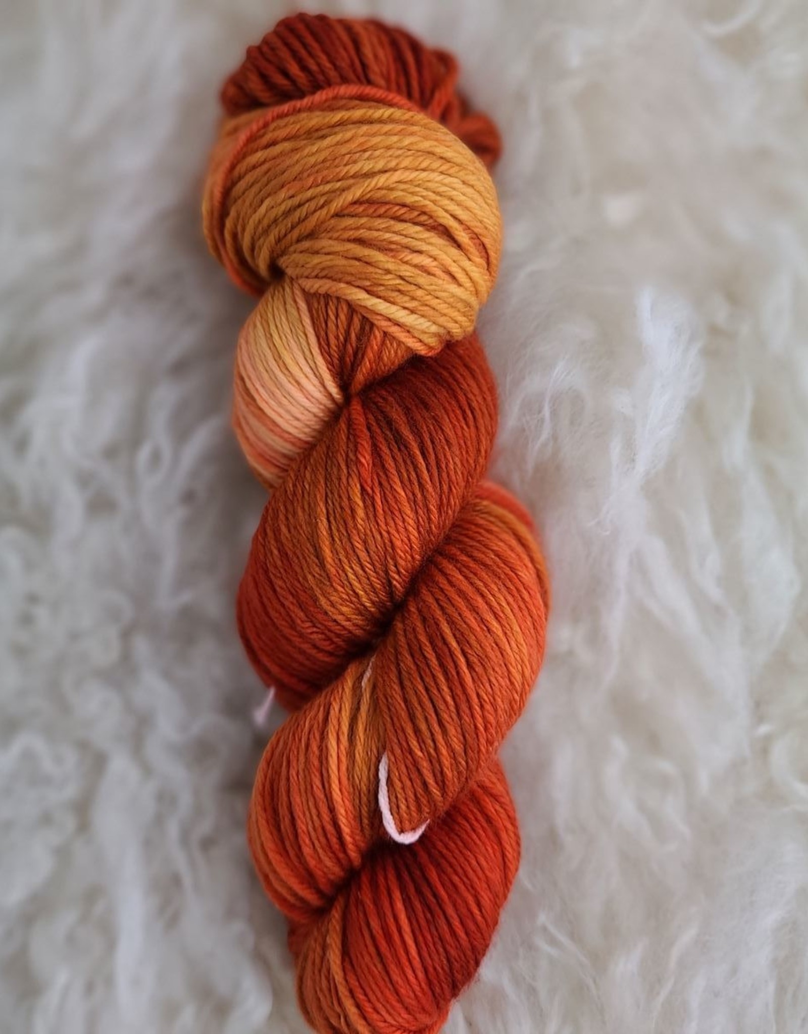 Palouse Yarn Co Clearwater Worsted 100g Cumquat