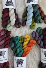 Palouse Yarn Co Mystery Lolo Sock Bundle