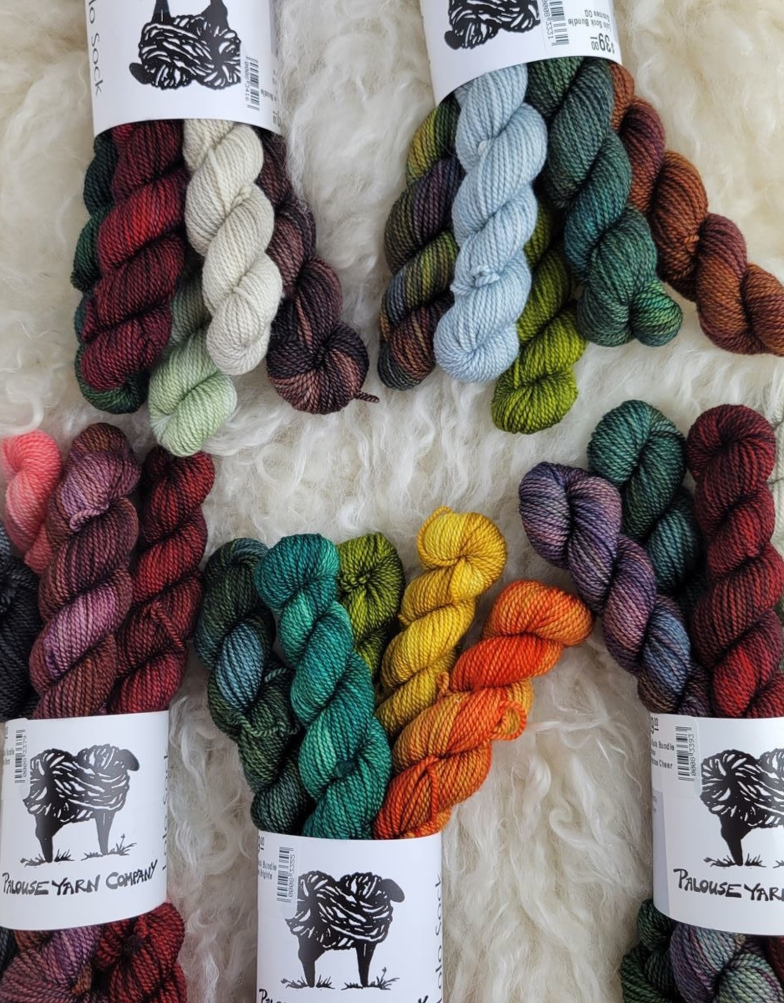 Palouse Yarn Co Mystery Lolo Sock Bundle