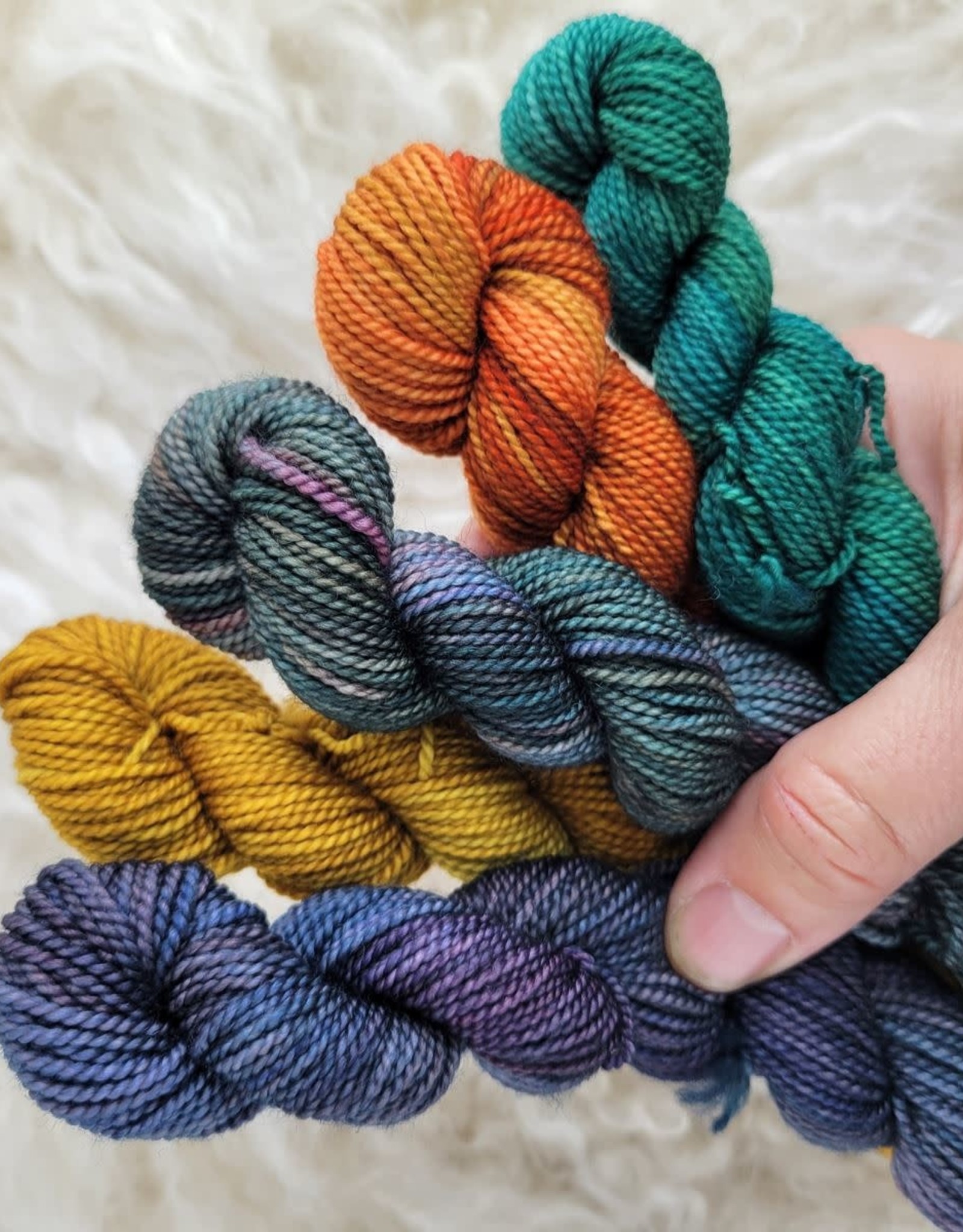 Palouse Yarn Co Mystery Lolo Sock Bundle