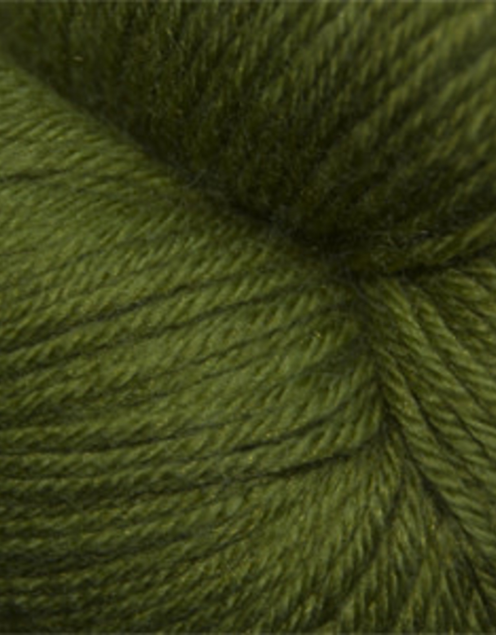 Cascade Heritage Sock 100g 5684 Cedar Green