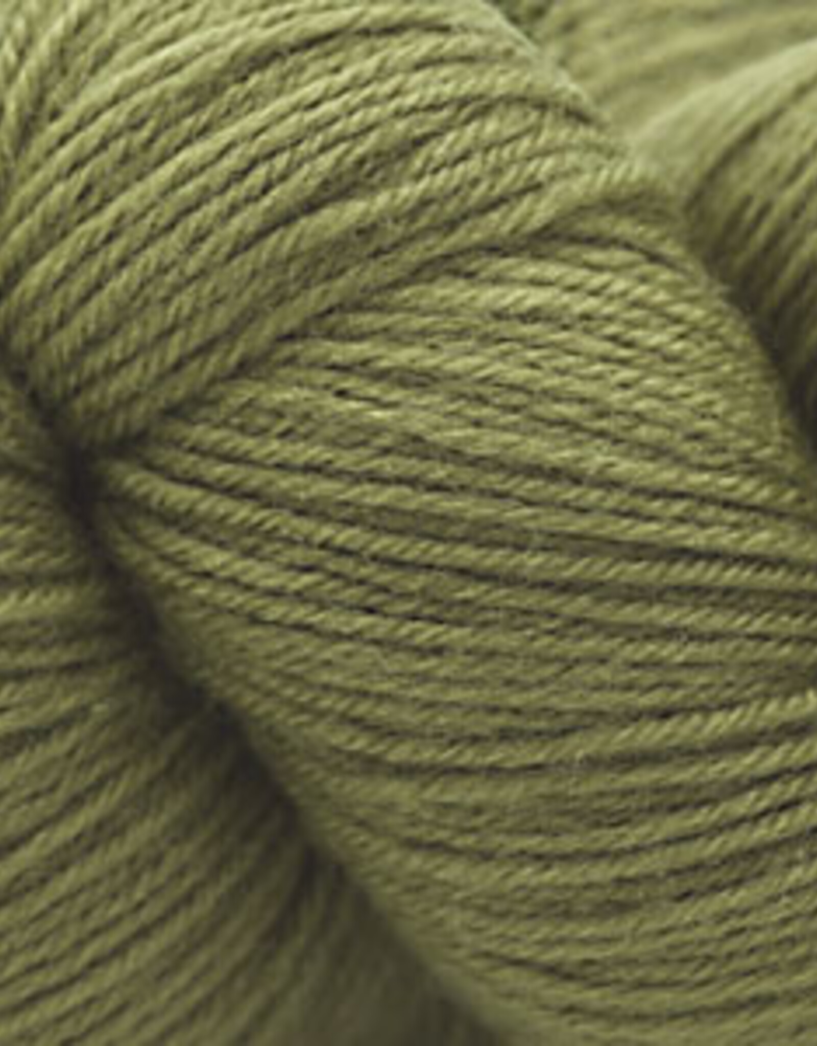Cascade Heritage Sock 100g 5760 fern
