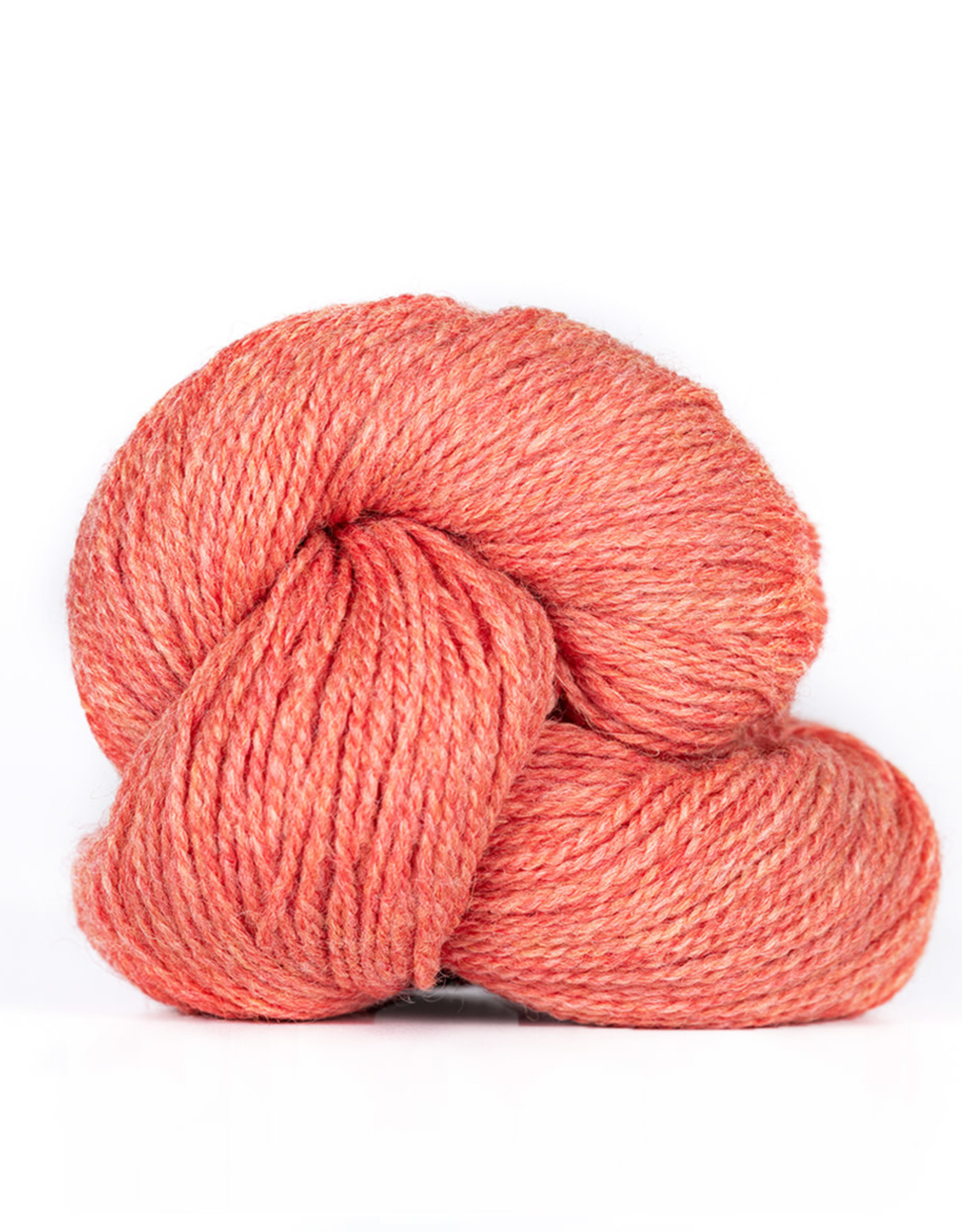 Kelbourne Woolens Camper 50g 667 coral h