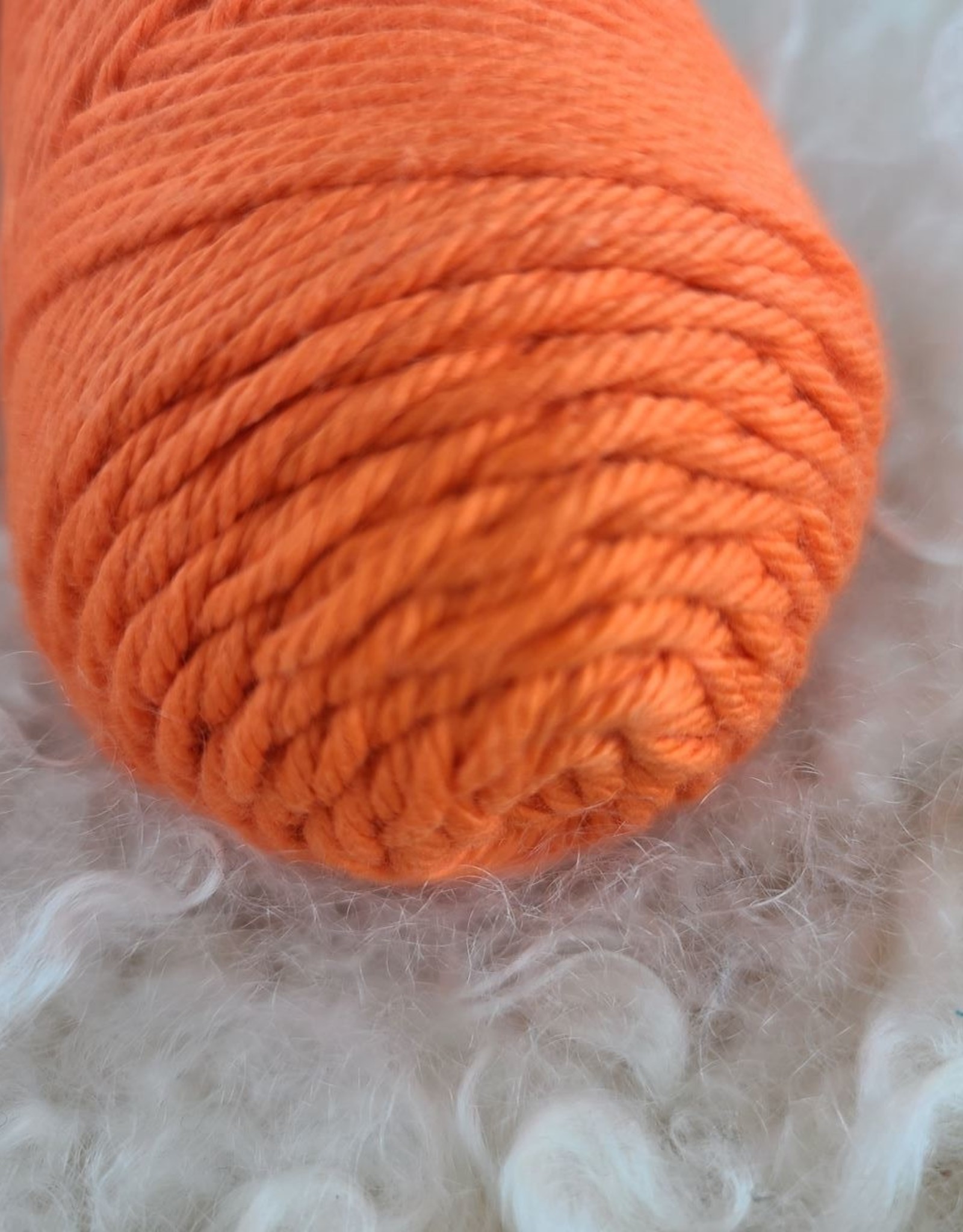 Coastal Cotton 100g #1023 - The Yarn Underground