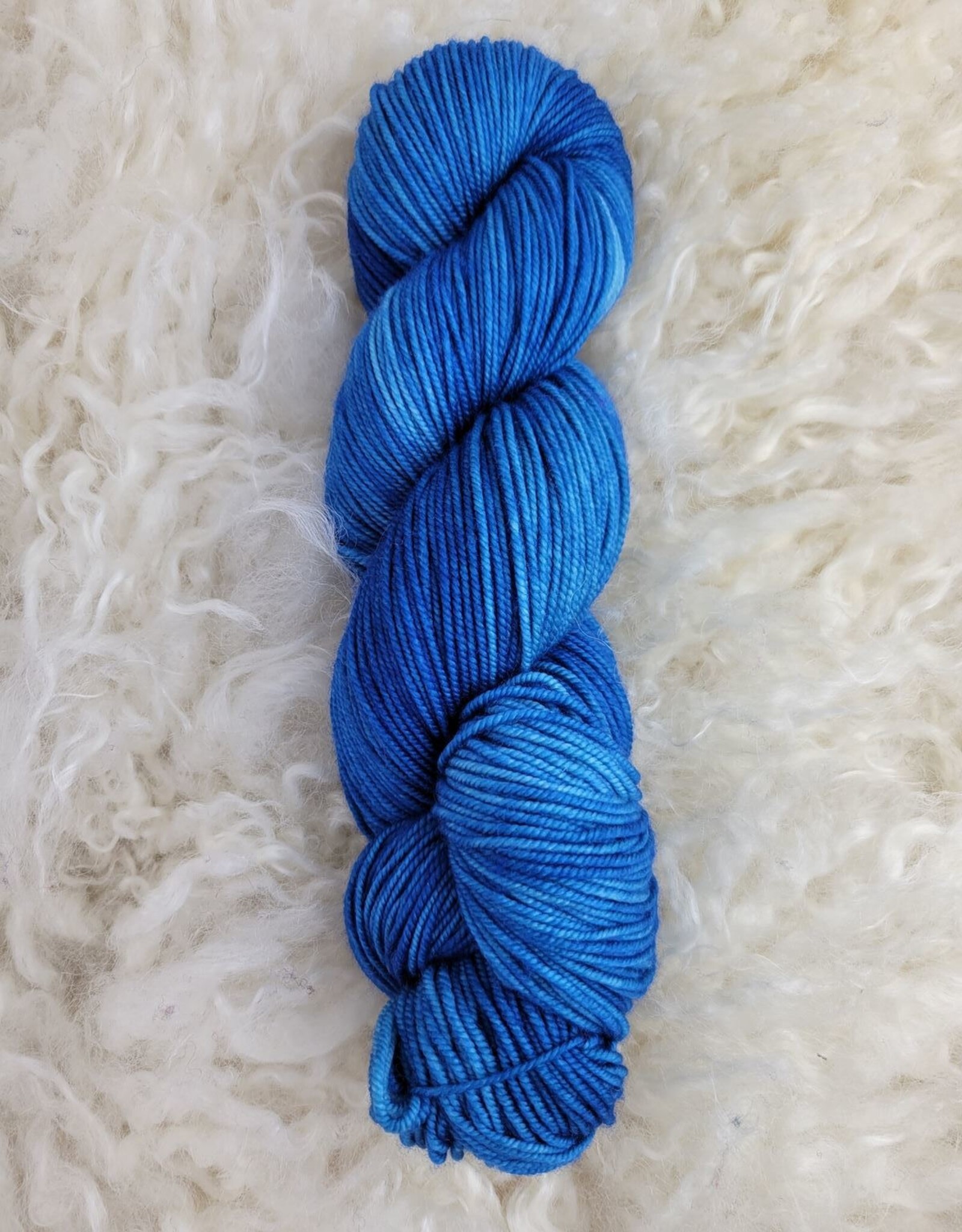 Palouse Yarn Co Selway Sport SW 100g Lapis