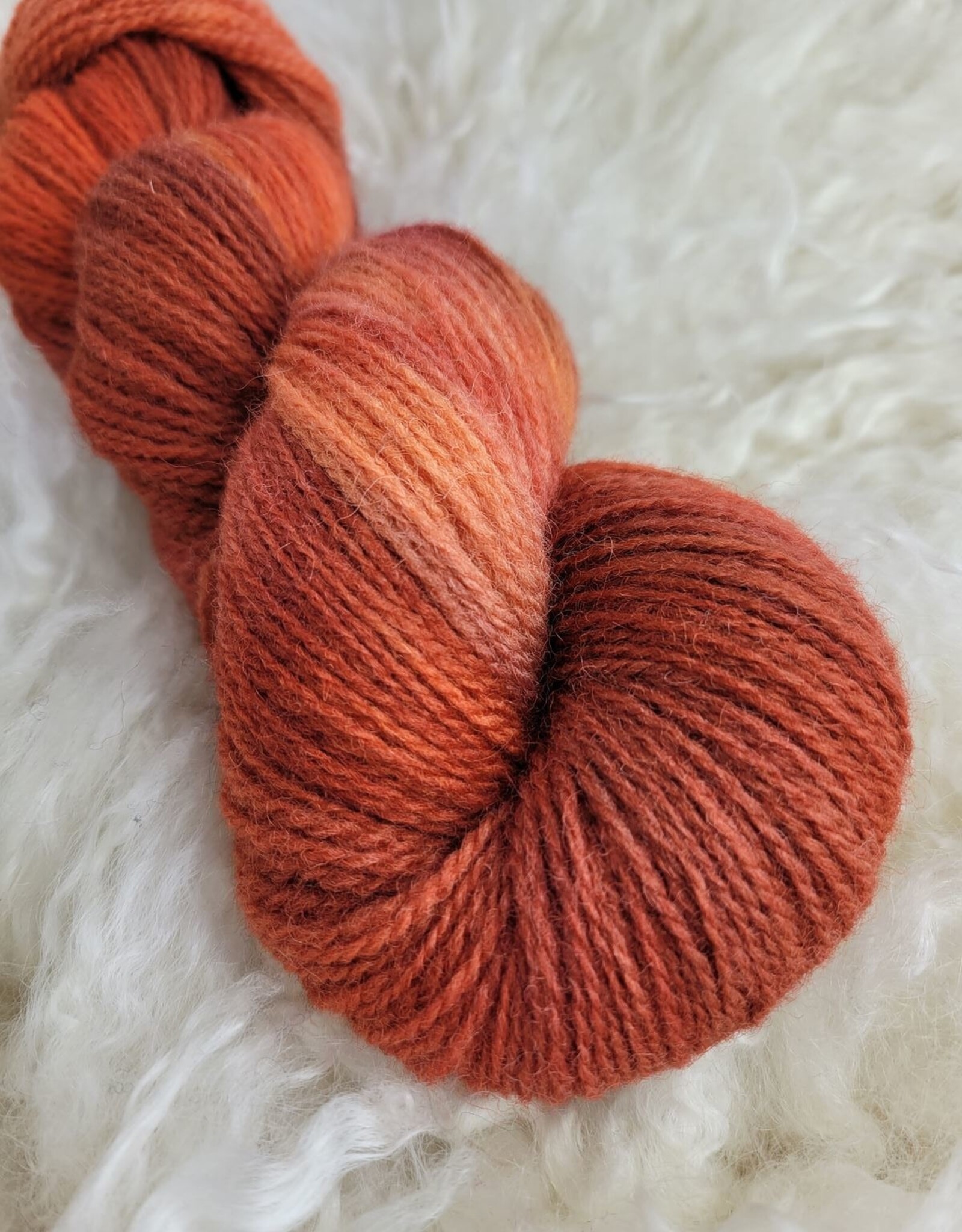 Palouse Yarn Dorset Horn Sport 100g mountain ash