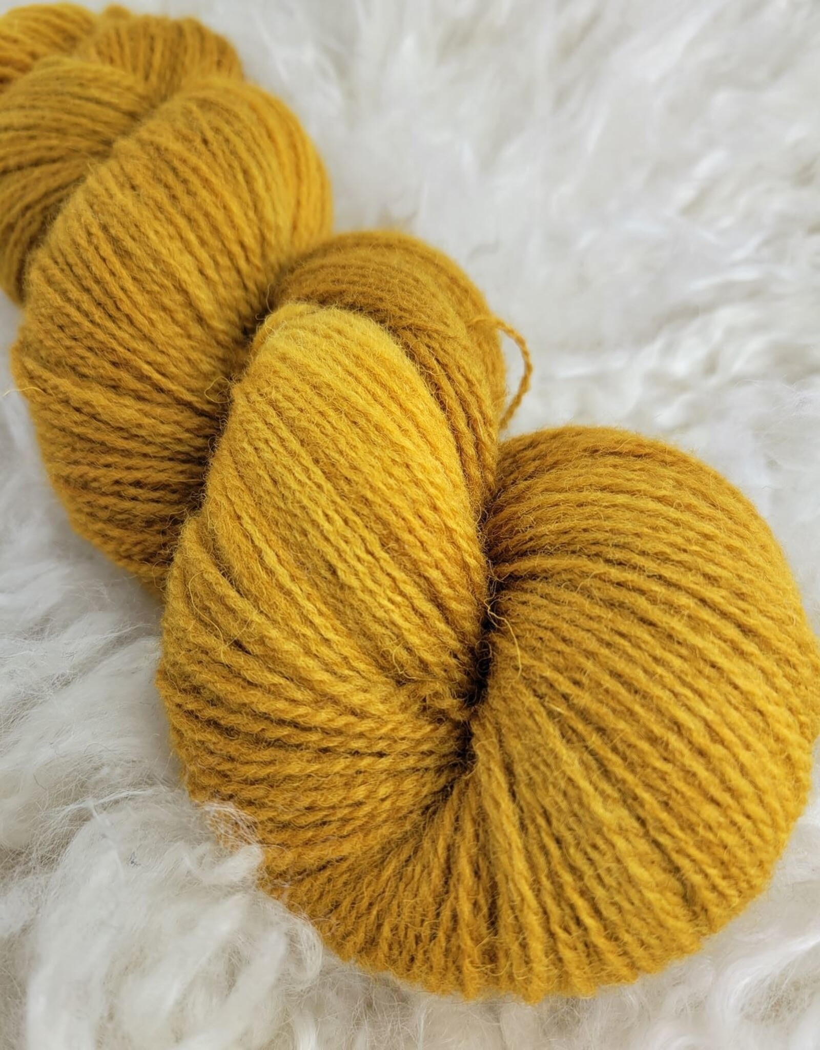 Palouse Yarn Dorset Horn Sport 100g bottled sunshine