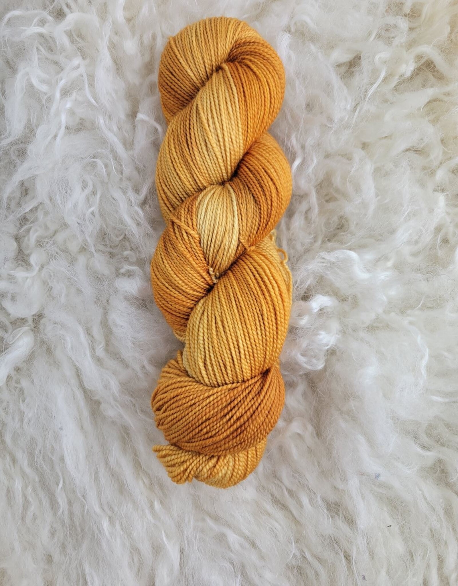 Palouse Yarn Co Lolo Sock 100g apricot jam