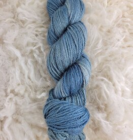 Palouse Yarn Co Moorland DK 100g Seattle Sky