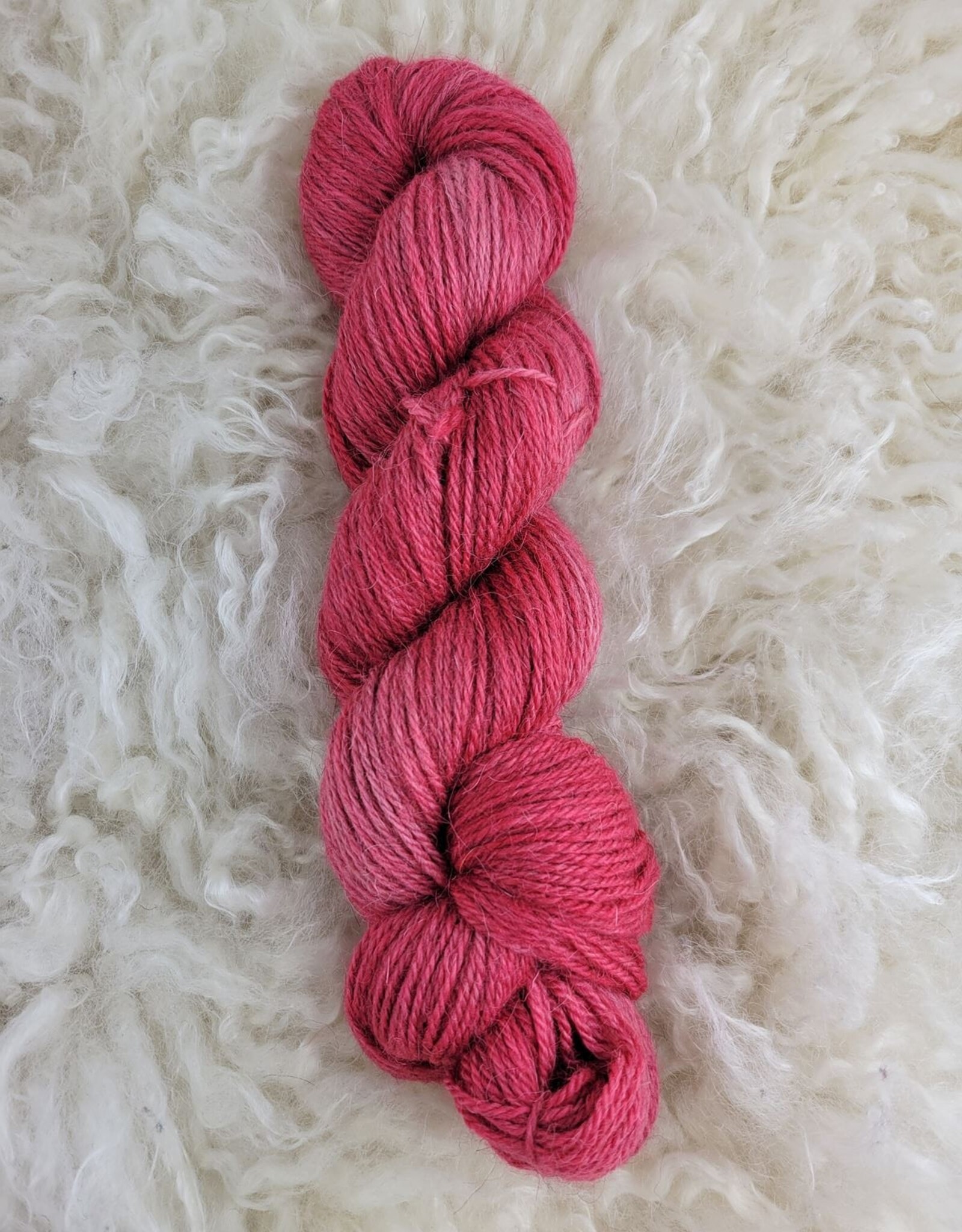 Palouse Yarn Co Moorland DK 100g Cherry Slushie