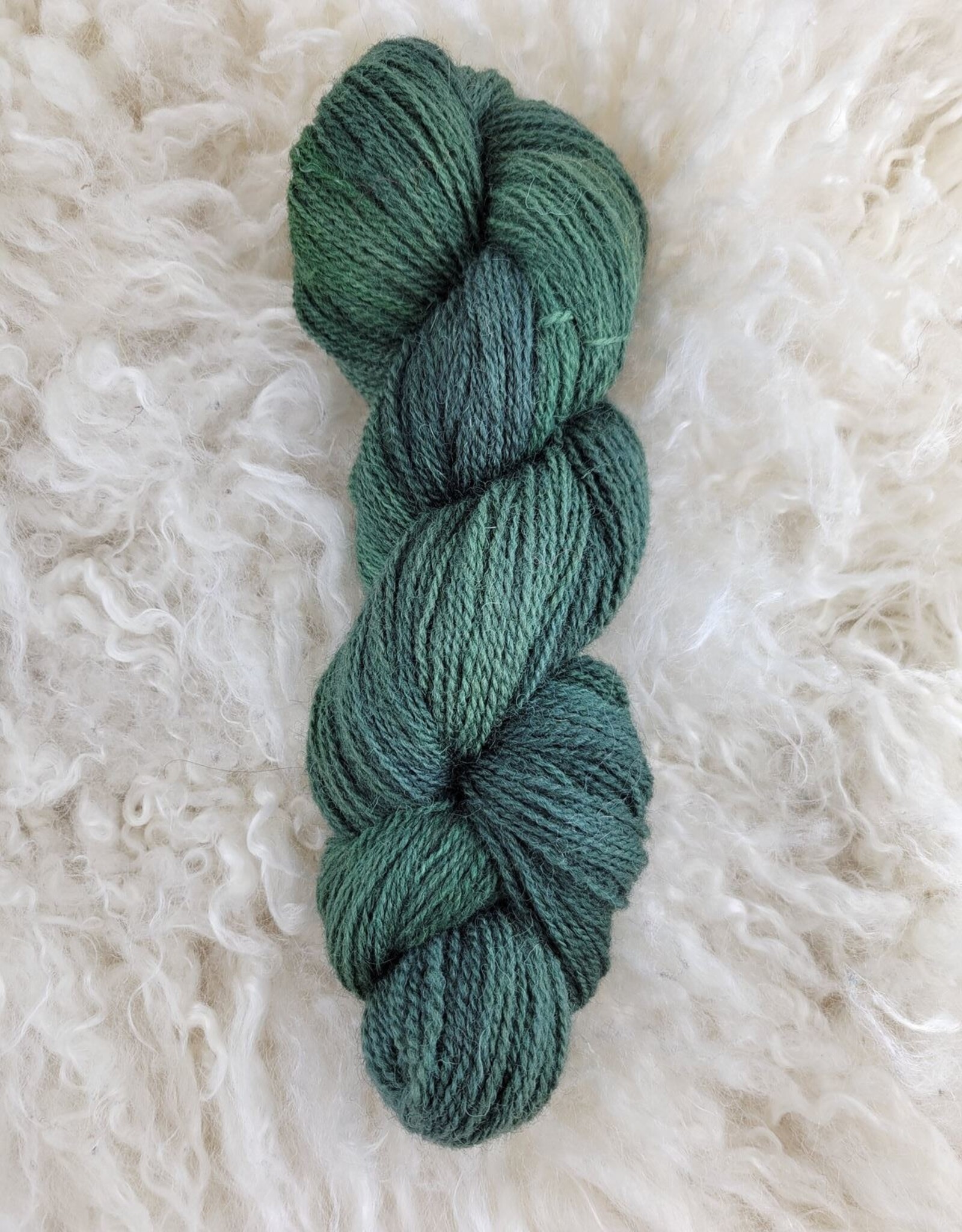 Palouse Yarn Co Dorset Horn Sport 100g Spruce