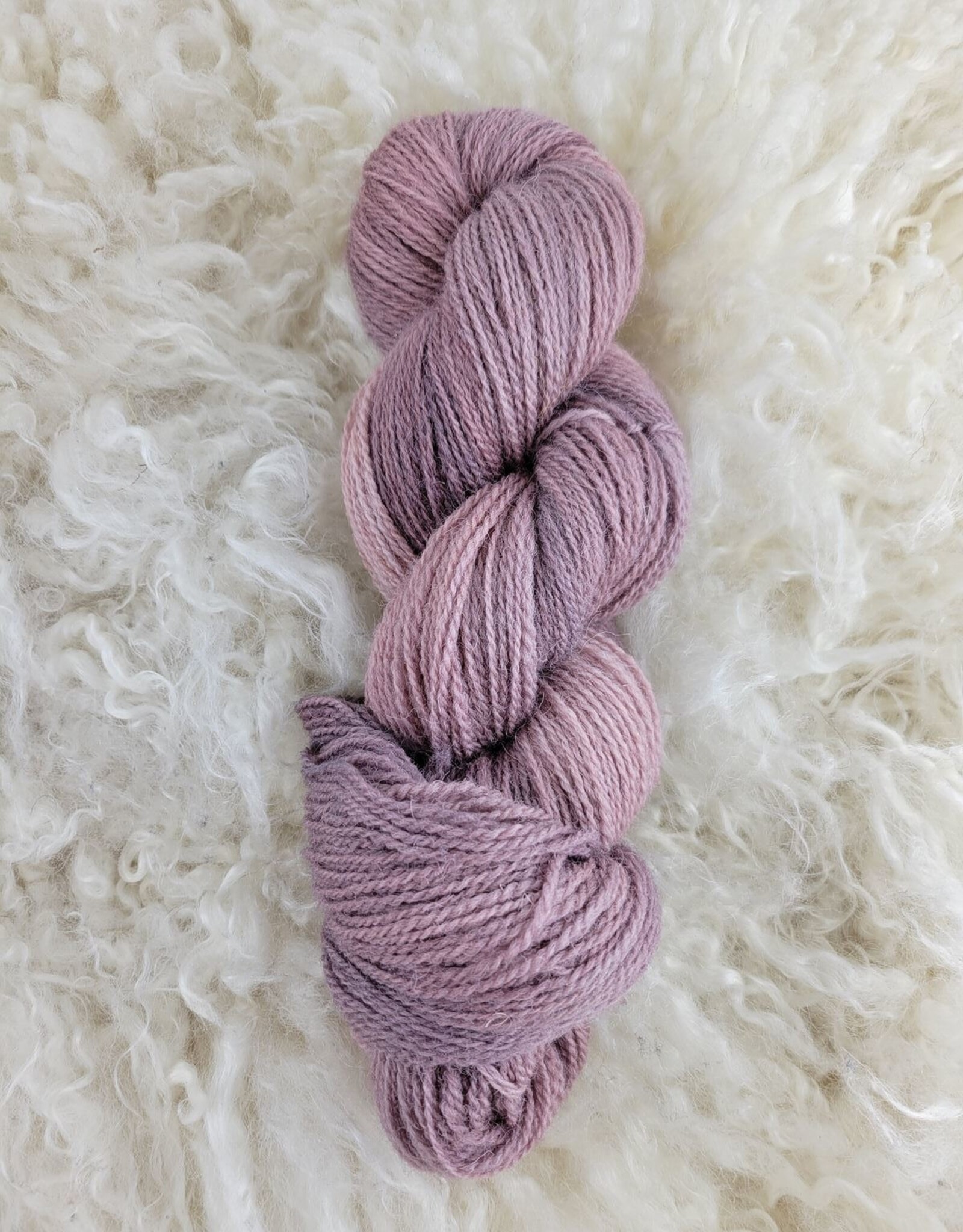 Palouse Yarn Dorset Horn Sport 100g Thistle