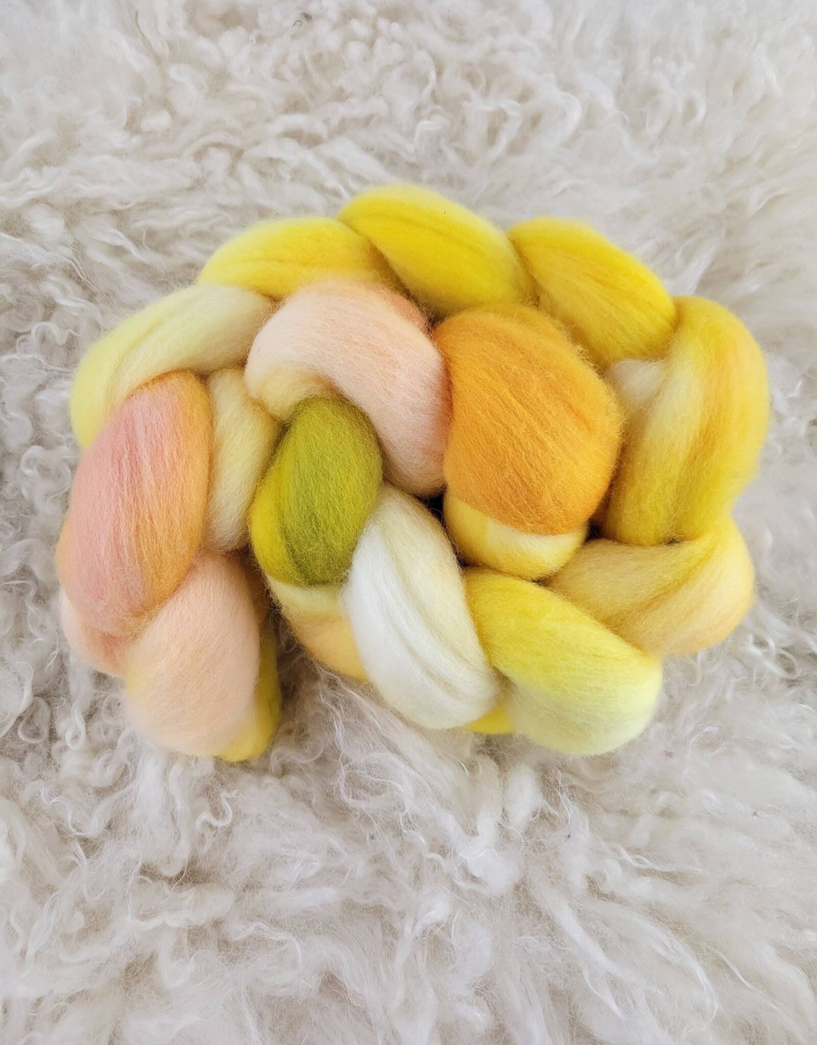 Palouse Yarn Co Hand Dyed Fiber 4 oz  Dorset Lamb