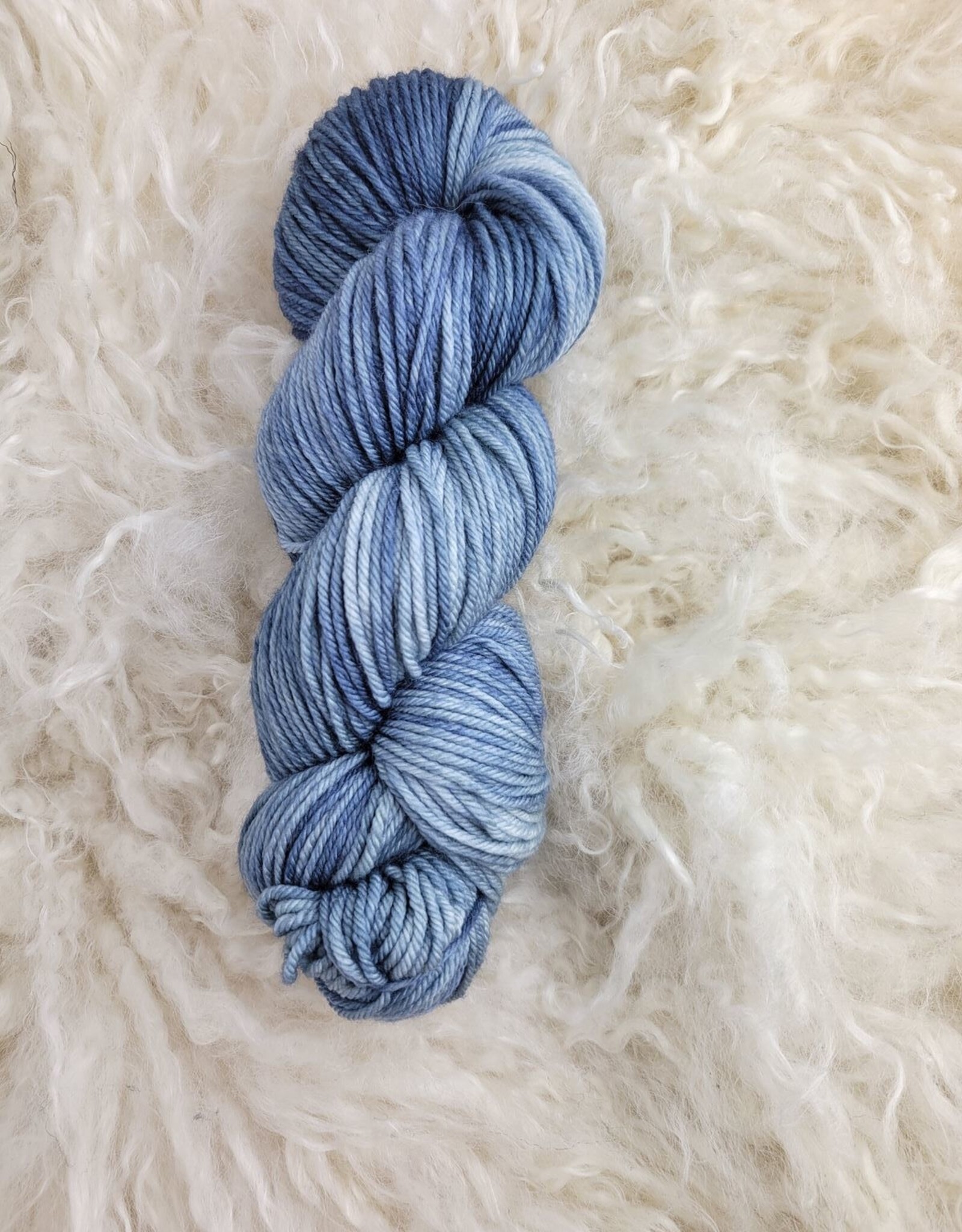 Palouse Yarn Co Magruder DK Sock 100g Seattle Sky