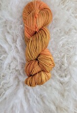 Palouse Yarn Co BFL Sock Apricot Marmalade