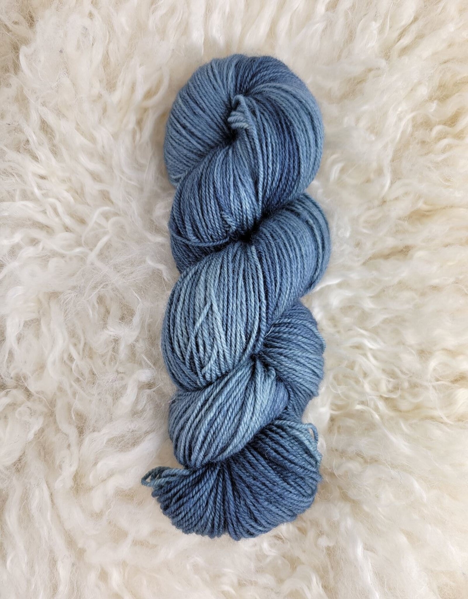 Palouse Yarn BFL Sock Seattle Sky
