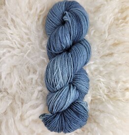 Palouse Yarn BFL Sock Seattle Sky