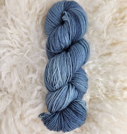 Palouse Yarn Co BFL Sock Seattle Sky