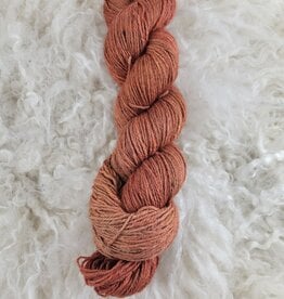 Palouse Yarn Co Fenn Fingering 100g rust