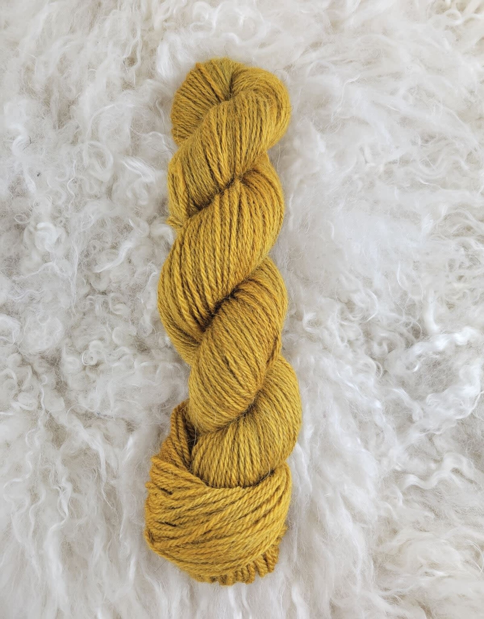 Palouse Yarn Moorland DK 100g Arrowroot