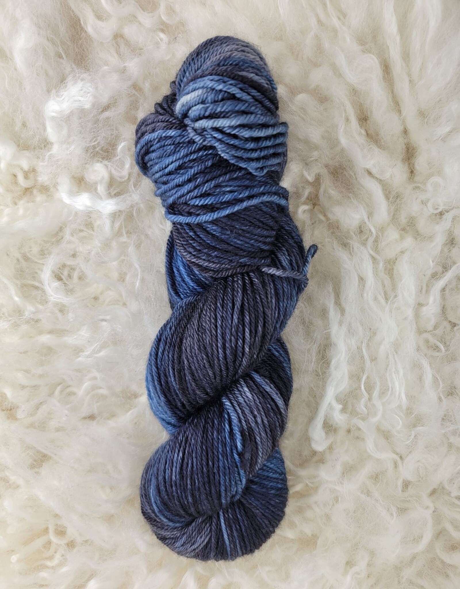 Palouse Yarn Co Magruder DK Sock 100g Blue Moon