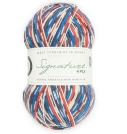 WYS Signature 4 Ply 100g #1168