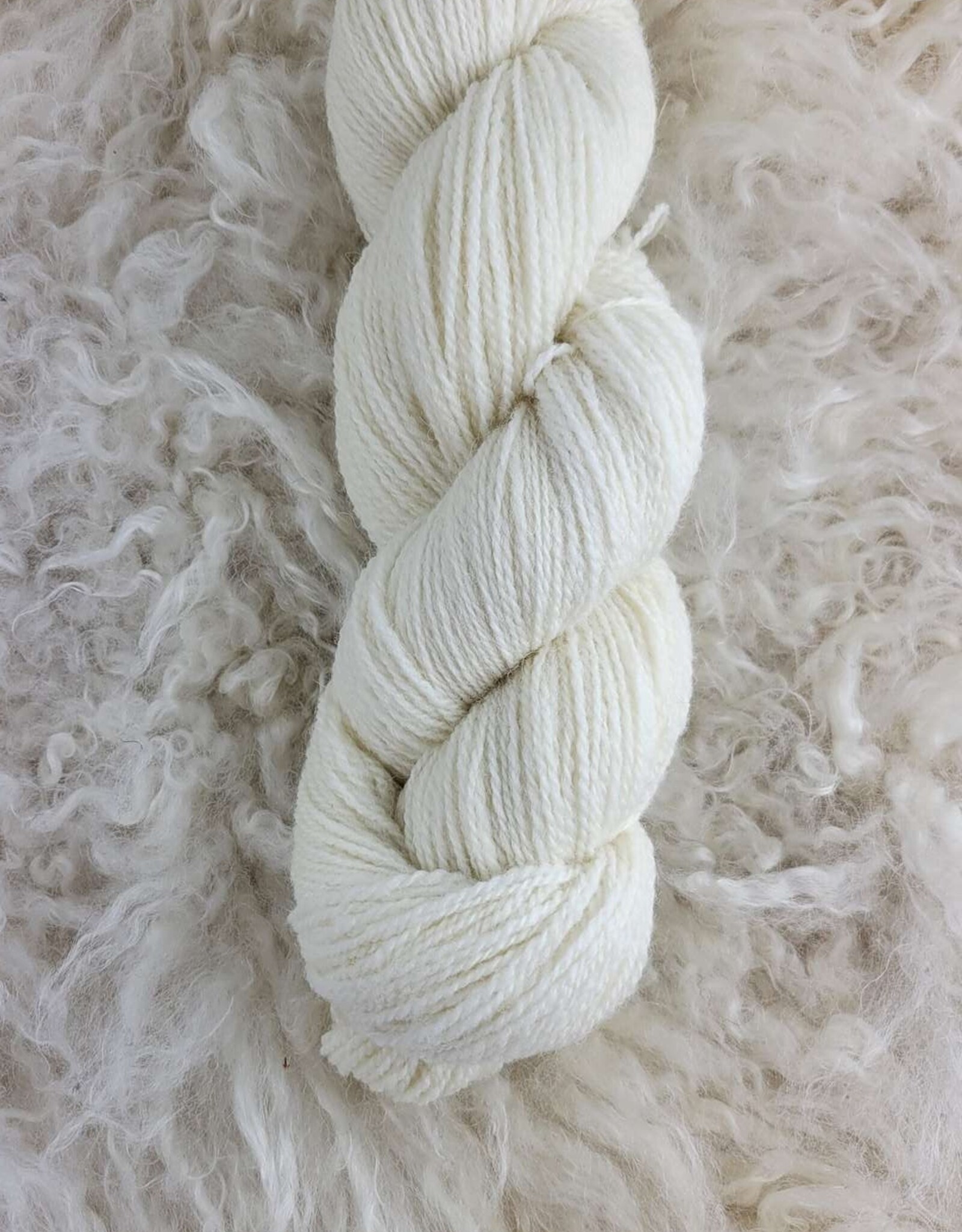 Palouse Yarn Dorset Horn Sport 100g Snow