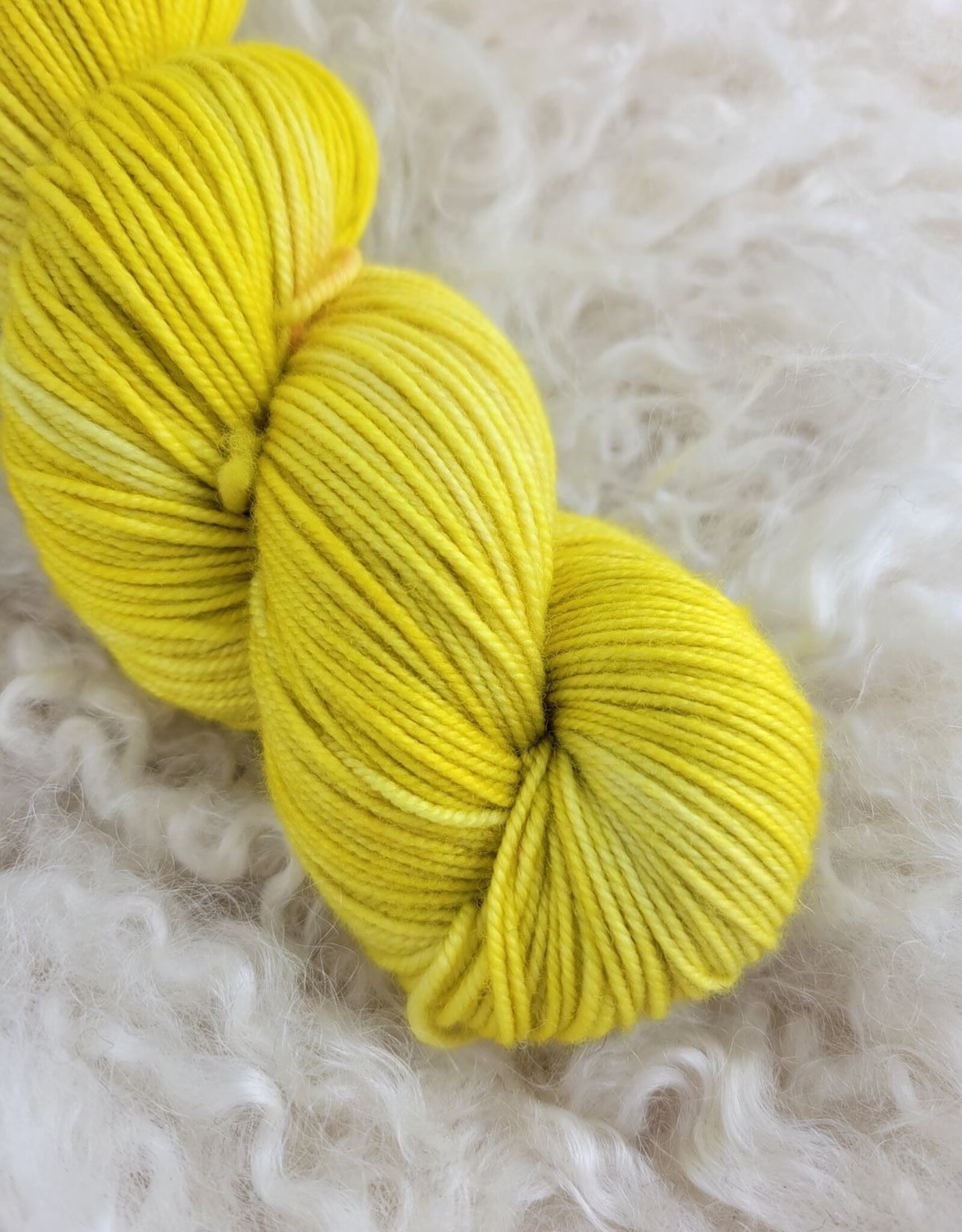 Palouse Yarn Selway Sport SW 100g Bright Sunshiny Day