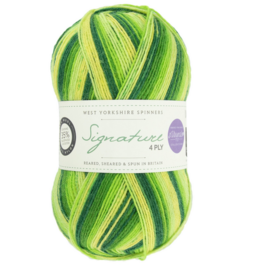 WYS Signature 4 Ply 100g 882 spring green