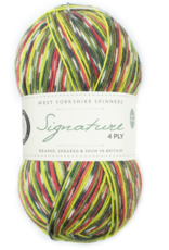 WYS Signature 4 Ply 100g #1170 green woodpecker