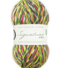 WYS Signature 4 Ply 100g #1170 green woodpecker