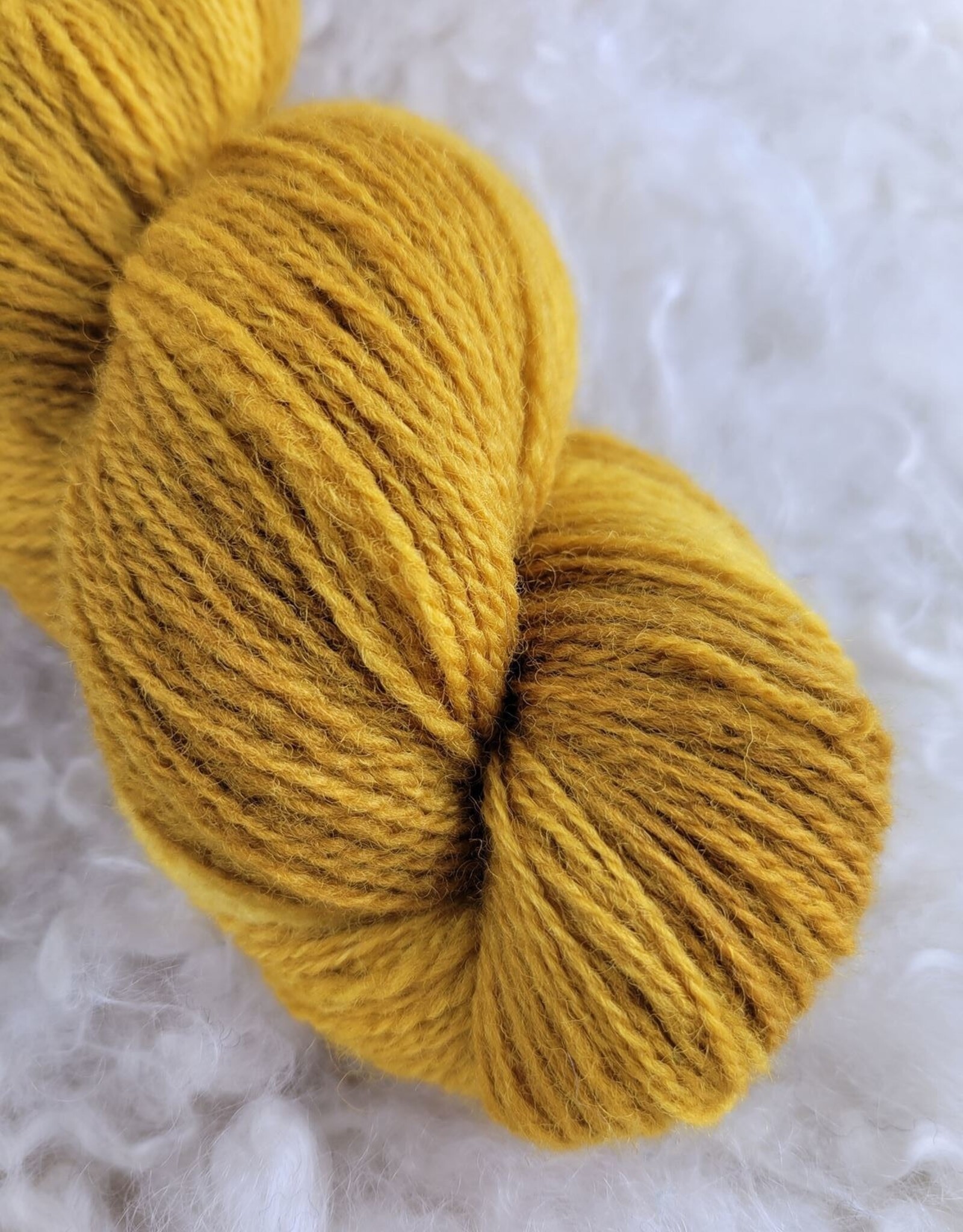Palouse Yarn Dorset Horn Sport 100g bottled sunshine
